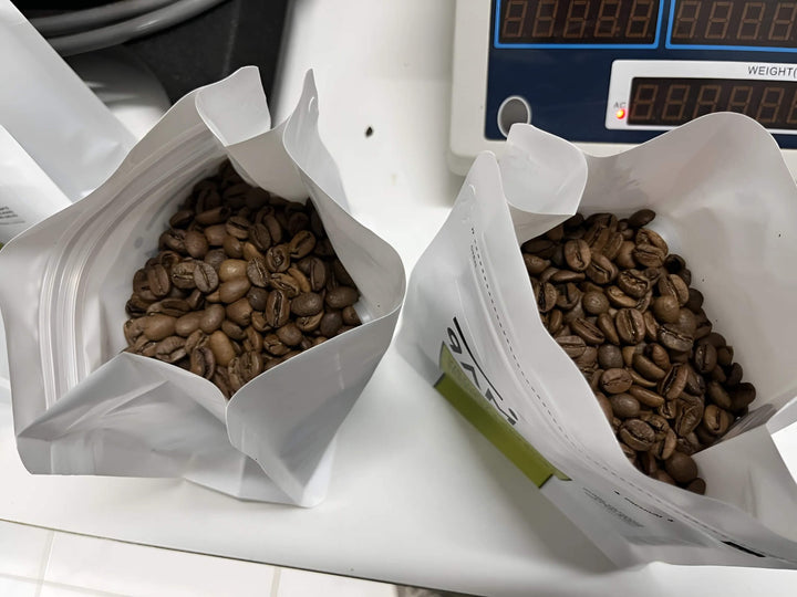 Vietnamese Specialty Coffee Duo